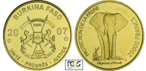 Burkina Faso - Protection de la faune - 25 000 francs 2007 - essai