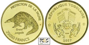 Togo - Protection de la faune - 25000 francs 2007 - Essai