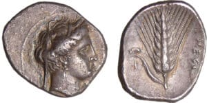 Italie - Lucanie - Métaponte - Statère à l'épi (330-330 av. J.-C.)