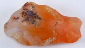 Egypte - Fin nouvel empire - Tilapia en cornaline - 1200 av. J.-C.