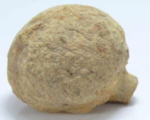 Romain - Fruit votif en pierre - 1er-3ème siècle