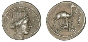 PLAUTIA - Denier (55 av. J.-C.)
