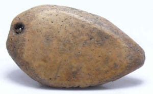 Alaska - Détroit de Béring - Civilisation Thulé - Amulette en os en forme de poisson - 1300-1700