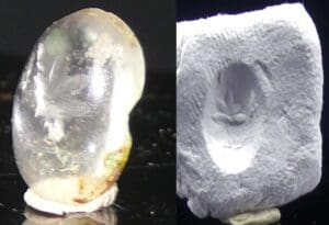 Romain - Intaille en cristal de roche - 100 / 300 ap. J.-C.