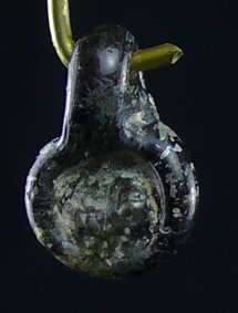 Romain byzantin - Médaillon en pâte de verre - 500 / 800 ap. J.-C.