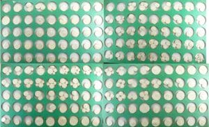 Coffret de 321 empreintes de monnaies antiques en plâtre