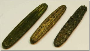 Laos - Langues de tigre