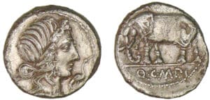 Caecilia - Denier (81 av. J.-C.)