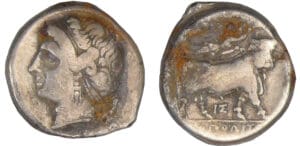 Campanie - Didrachme - Neapolis (340-241 av. J-C)