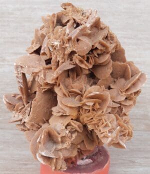 Rose des sables (Gypse)